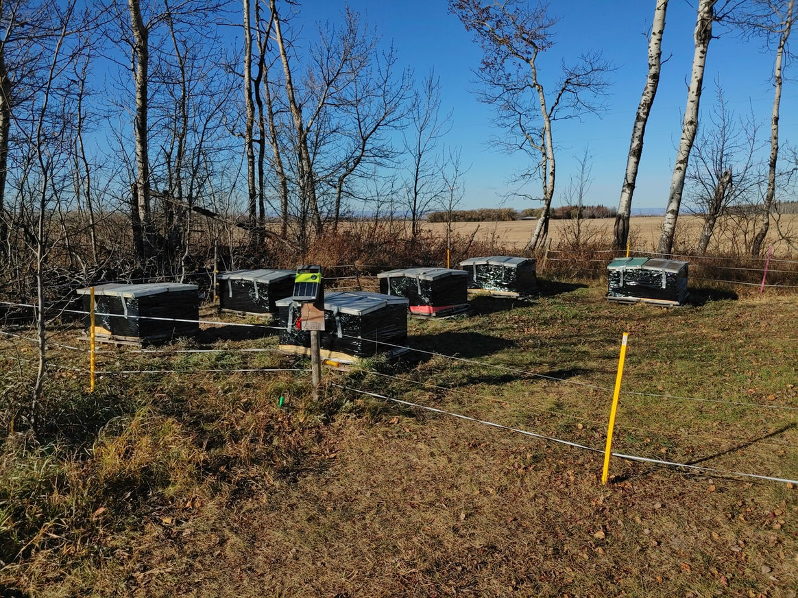 2021 Season photo 41